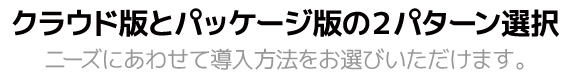 クラウド版とパッケージ版の２パターン選択。ニーズにあった導入形態をお選びいただけます。